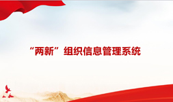 “兩新”組織管理系統